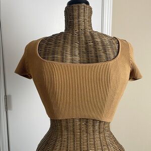 Babaton Sculpt Knit Squareneck Top